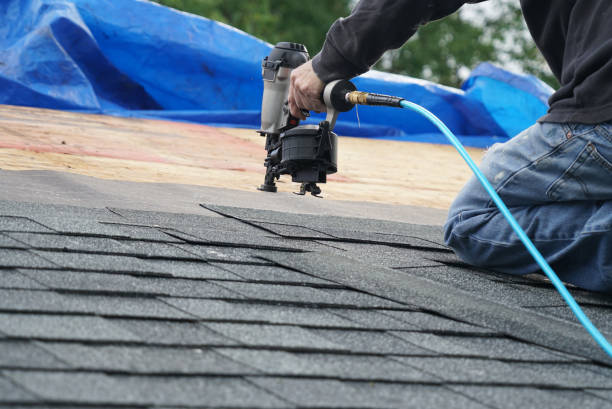 Best Roof Gutter Cleaning  in Meade, KS